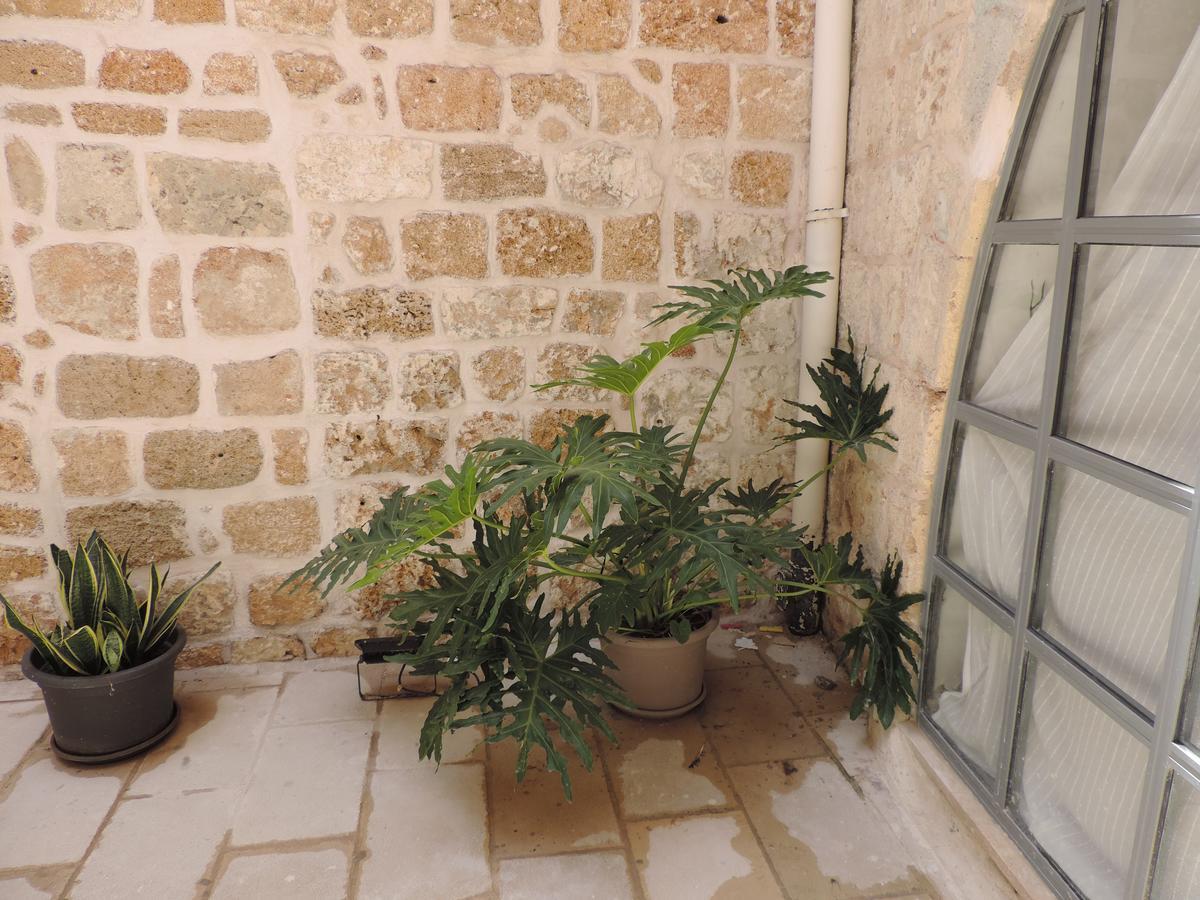 Villa The Sultan House à Acre Extérieur photo